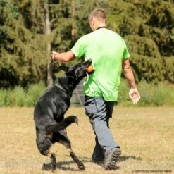 SPORTHUND Active-Shirt Herren Neon -Haustierzubehör Geschäft 5700690m071sporthund active shirt 5700692 dsh