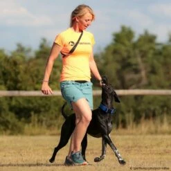 SPORTHUND Active-Shirt Damen Neon -Haustierzubehör Geschäft 5700695m071sporthund active shirt 5700696 hound