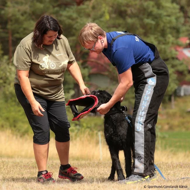 T-Shirt VIEH-Bike 4 T-Shirt VIEH-Bike – Bild 2