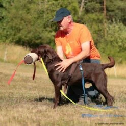 T-Shirt Teampartner -Haustierzubehör Geschäft 570070207t shirt doppelpack herren 5700702 labradorURynIHjt1BfKW