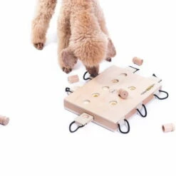 Geschicklichkeitsspiel IPet Smart Laptop 8 Geschicklichkeitsspiel IPet Smart Laptop -Haustierzubehör Geschäft 701363607ipet smart dog laptop anwendung2 7013636