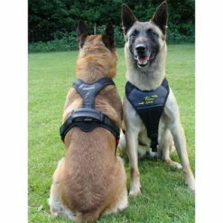 Hundeführgeschirr Follow SPORT -Haustierzubehör Geschäft 7017048m07follow sport gr l schwarz anwendungsbild 7017050 7017048 7017049 7017051