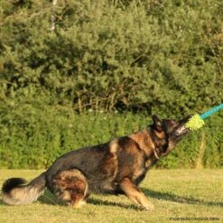 MOPIK HULA -Haustierzubehör Geschäft 702132606mopik hula blau gruen p4dc8322 7021326i3VKbhQ8D9lQh