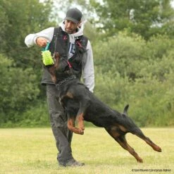 MOPIK HULA -Haustierzubehör Geschäft 7021326071mopik hula blau gruen p4dc6235 7021326PooQwwpWHZlBB