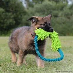 MOPIK HULA -Haustierzubehör Geschäft 7021326074mopik hula blau gruen crt 7369 7021326