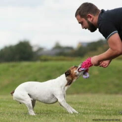 MOPIK HULA -Haustierzubehör Geschäft 702132607mopik hula lila pink p4dc3013 7021326SyEtfpj2FGMYV