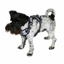 Hunter Hundegeschirr Divo Reflect 11 Hunter Hundegeschirr Divo Reflect -Haustierzubehör Geschäft 7021931m072hunter geschirr divo reflect anwendung zwergschnauzer 7021932