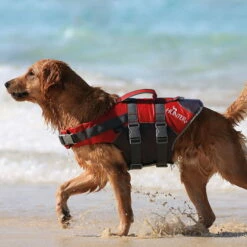 Hunter Schwimmweste Moss -Haustierzubehör Geschäft 7022090m07hunter schwimmweste moss meer