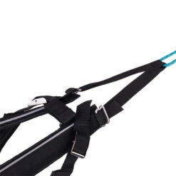 Non-Stop Dogwear Freemotion Harness Zuggeschirr -Haustierzubehör Geschäft 702210107freemotion harness detail2 7022101