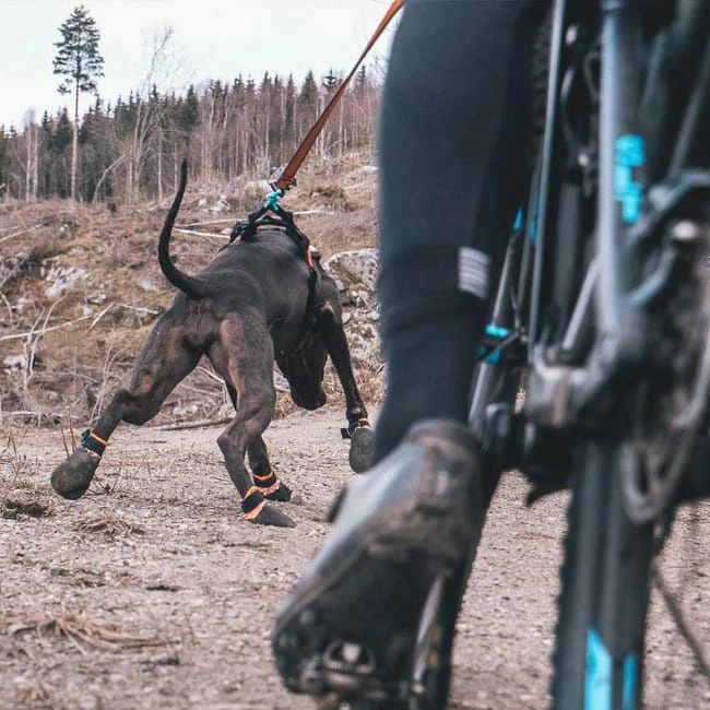 Non-Stop Protector Bootie 5 Non-Stop Protector Bootie – Bild 3