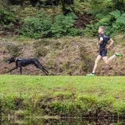 Non-Stop Dogwear Bungee Leash 2m 8 Non-Stop Dogwear Bungee Leash 2m -Haustierzubehör Geschäft 702212507non stop dogware bungee leash anwendung 7022125