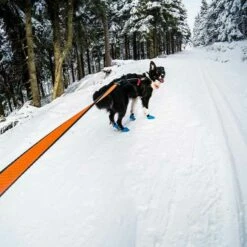 Non-Stop Dogwear Bungee Leash 2,8m -Haustierzubehör Geschäft 7022126071non stop dogware bungee leash anwendung2 7022125