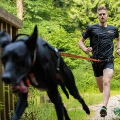 Non-Stop Dogwear Bungee Leash 2,8m -Haustierzubehör Geschäft 702212607non stop dogware bungee leash anwendung3 7022125