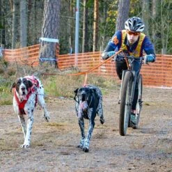 Non-Stop Dogwear Bungee Leash Double -Haustierzubehör Geschäft 7022127071bungee leash pro double anwendung2 7022127