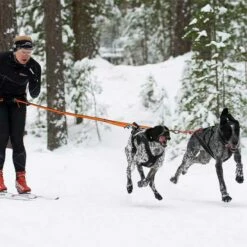 Non-Stop Dogwear Bungee Leash Double -Haustierzubehör Geschäft 702212707bungee leash pro double anwendung 7022127