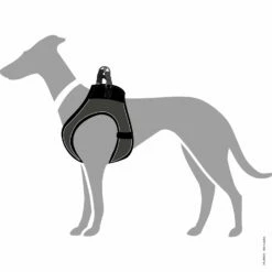 Hunter Hundegeschirr Hilo Comfort 9 Hunter Hundegeschirr Hilo Comfort -Haustierzubehör Geschäft 7022200m071hunter geschirr hilo passform 7022201hJwK8jChELaoZ