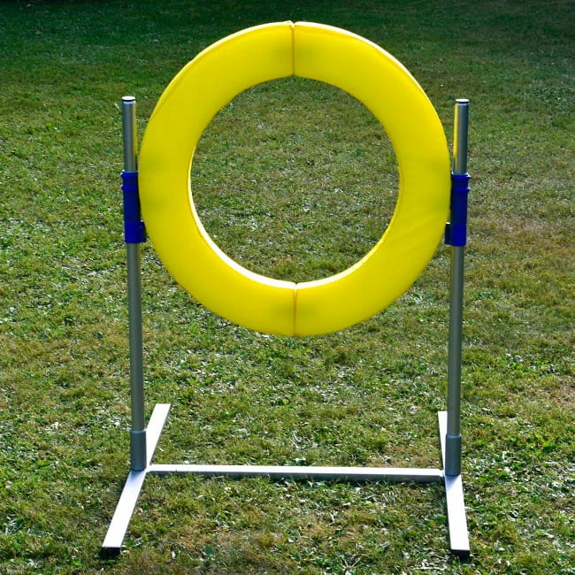 Profi Agility Sprung Ring 4 Profi Agility Sprung Ring – Bild 2