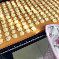 Cahuna Silikon Backmatte 12 Cahuna Silikon Backmatte -Haustierzubehör Geschäft 7030396072cahuna silikon backmatte anwendung2 7030396