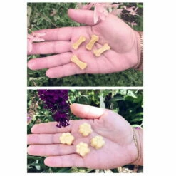 Cahuna Silikon Backmatte 13 Cahuna Silikon Backmatte -Haustierzubehör Geschäft 7030396073cahuna silikon backmatte anwendung4 7030396