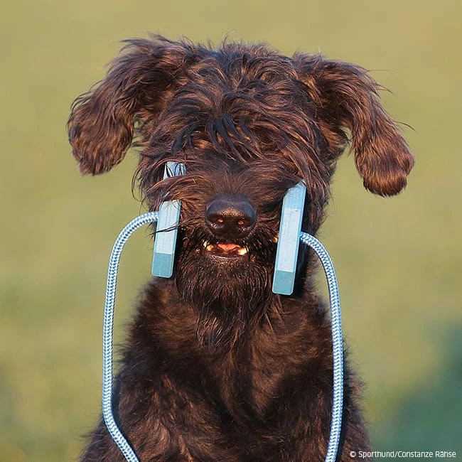 Obedience Holz-Apportel Mit Seil 6 Obedience Holz-Apportel Mit Seil – Bild 4
