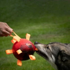 Dog Comets Hypernova -Haustierzubehör Geschäft 7265140m06dog comets hypernova anwendung 7265140m