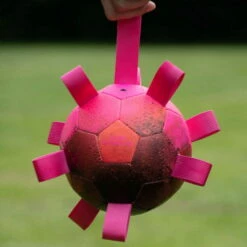 Dog Comets Hypernova -Haustierzubehör Geschäft 7265140m07dog comets hypernova anwendung2 7265140m