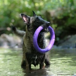 PULLER-Ringe -Haustierzubehör Geschäft 7270770m07pullerringe p4dc0570 727077201DSneqtKNTk8