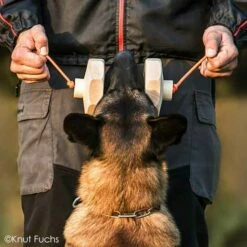 Sporthund IGP-Apportierholz 650g Havatar -Haustierzubehör Geschäft 728140607knutfuchs havatar 7281406 malinois2wLuItwAUwzwYT