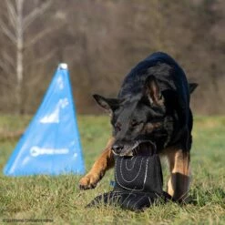 Sporthund Triple Star Kissen 9 Sporthund Triple Star Kissen -Haustierzubehör Geschäft 7334208071sporthund triplestarkissen 7334208 dshUN5K3a3eMNTtD