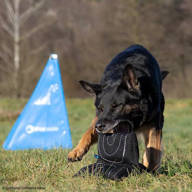 Sporthund Triple Star Kissen 6 Sporthund Triple Star Kissen – Bild 4