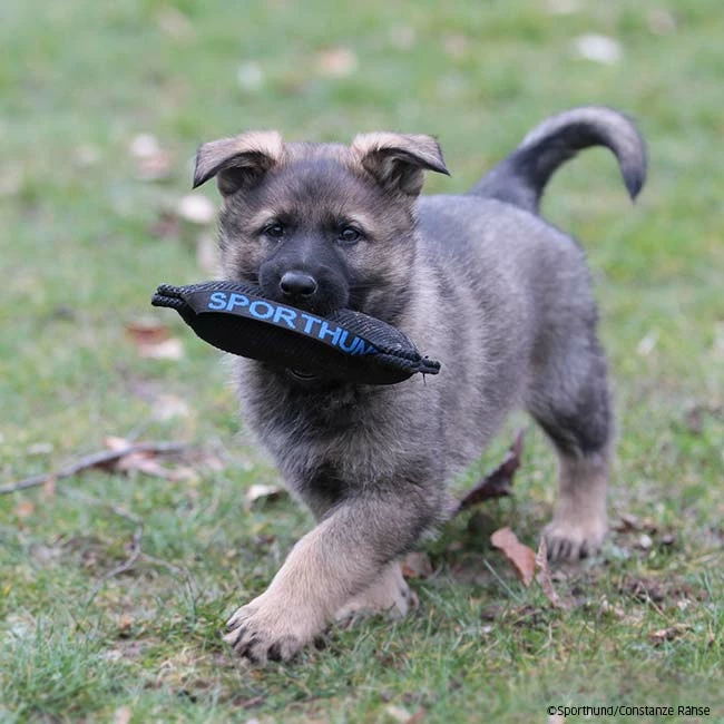 Mini Bestätigungskissen 4 Mini Bestätigungskissen – Bild 2