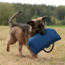 Sporthund Welpen Hohlbeißkissen 7 Sporthund Welpen Hohlbeißkissen -Haustierzubehör Geschäft 733421707welpenkissen 7334217 dshTZbxLWm5548Xs