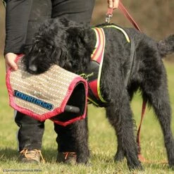 3-Griff-Kissen Plus -Haustierzubehör Geschäft 7334222071sporthund 3griffkissen p4dc5742 7334222