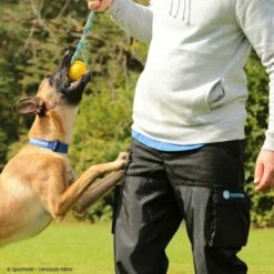 Hundeführerhose Schwarz 9 Hundeführerhose Schwarz -Haustierzubehör Geschäft 7335222071sporthund hundefuhrerhose schwarz 7335222 hf1