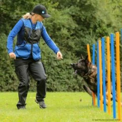 Sporthund Netzweste Fashion -Haustierzubehör Geschäft 7335254071sporthund netzweste fashion 7335254 dsh