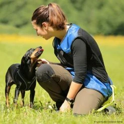 Sporthund Netzweste Fashion -Haustierzubehör Geschäft 733525407sporthund netzweste fashion 7335254 brackerdTv8EeEJRCDj