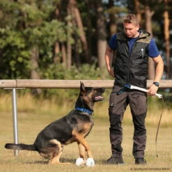 Hundeführerweste Fashion 2.0 Hooded -Haustierzubehör Geschäft 7335701073hundefuhrerweste fashion 2 0 hooded 7335705 dshoFV4zDfzwiCrS