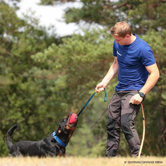 Sporthund Bomba Beiß-Sack 4 Sporthund Bomba Beiß-Sack – Bild 2