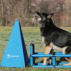 Sporthund Q-Box -Haustierzubehör Geschäft 73572100717357210 sporthund q box verbellen neu0eSfm3tz3jMtF