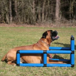 Sporthund Q-Box -Haustierzubehör Geschäft 73572100737357210 sporthund q box platz neu05AtVEl4JKtrI