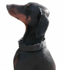 Verkleidung Für 3,2mm Stachelhalsbänder -Haustierzubehör Geschäft 7423550sbb