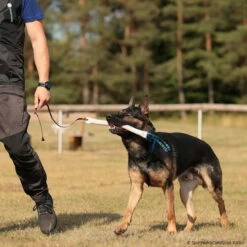 Beißwurst-Peitsche -Haustierzubehör Geschäft 742410507sporthund beisswurst peitsche 7424105 dsh 1