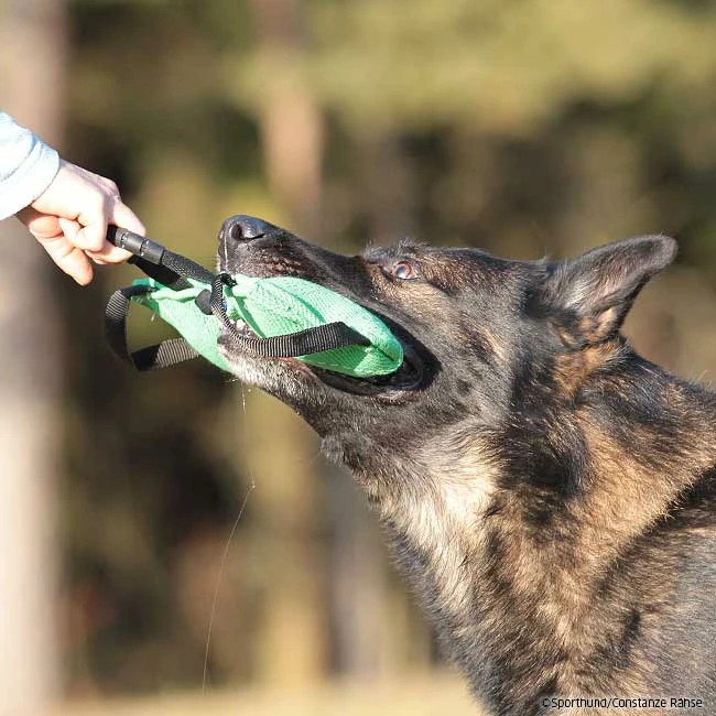 FreshLine Beißkissen 4 FreshLine Beißkissen – Bild 2