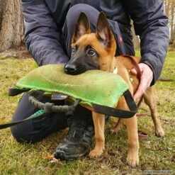 FreshLine Beißkissen 7 FreshLine Beißkissen -Haustierzubehör Geschäft 742501507freshline beisskissen 7425015c4XJMnWoXYbFh