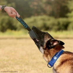 Sporthund Plüschwürfel -Haustierzubehör Geschäft 7425086071sporthund pluschwurfel 7425086 malinois 2fqLdJfkwQ6ytu