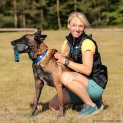 Sporthund Plüschwürfel -Haustierzubehör Geschäft 742508607sporthund pluschwurfel 7425086 malinois 1N5anUFzZbBm40