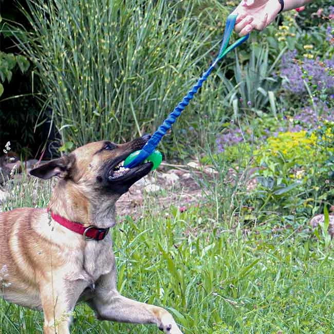Treat Dispensing Chew Ball Mit Bungee-Seil 4 Treat Dispensing Chew Ball Mit Bungee-Seil – Bild 2