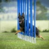 Dogsworld Agility Slalom -Haustierzubehör Geschäft dogsworld agility slalom 6440114