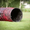 Dogsworld Agility Tunnel 5,5 M -Haustierzubehör Geschäft dogsworld agility tunnel 6440118xBEdeXD41jpaS