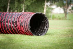 Dogsworld Agility Tunnel 5,5 M